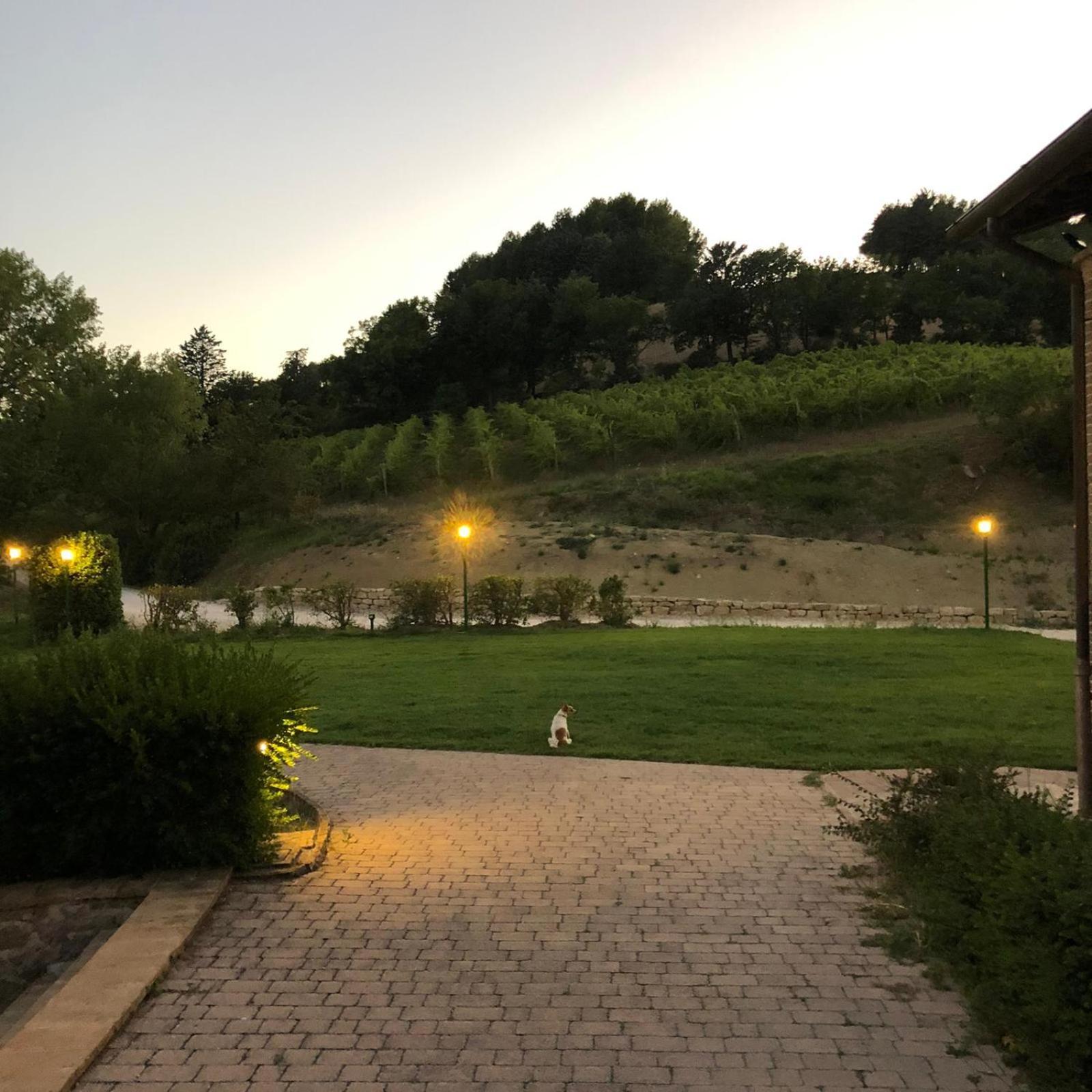 Re Artu Assisi Country Lifestyle Aparthotel Exterior photo